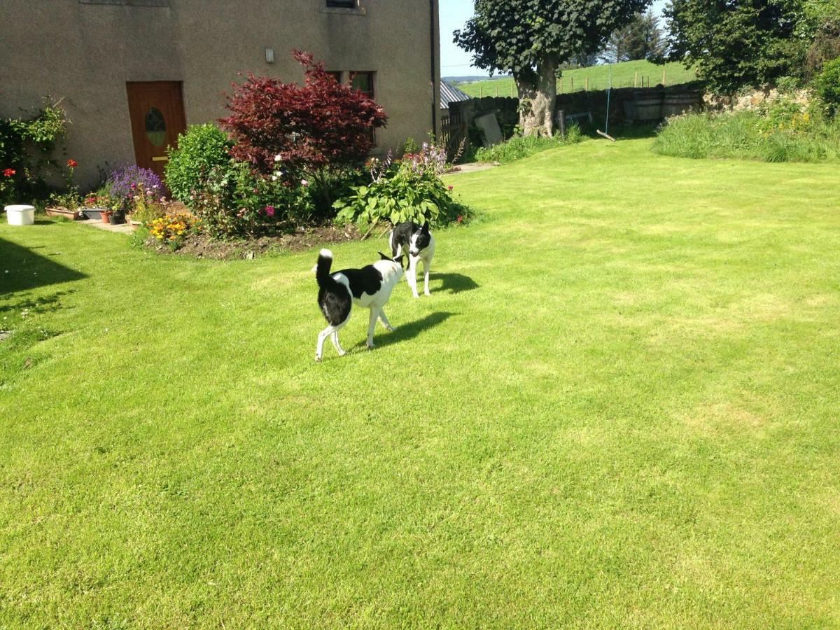 Meikle Ardrone Homestay Keith Exterior foto